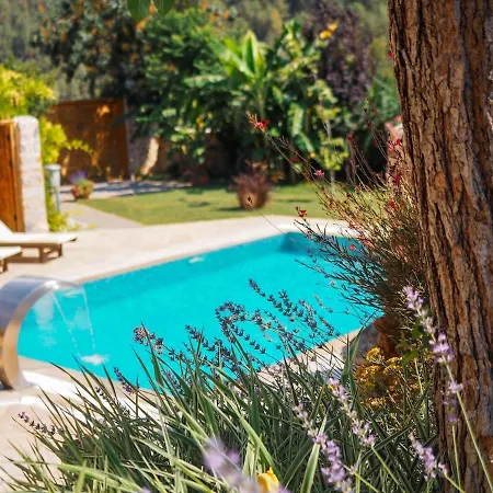 Apsara - Secluded Oasis - Big Pool - Amazing Views Villa *