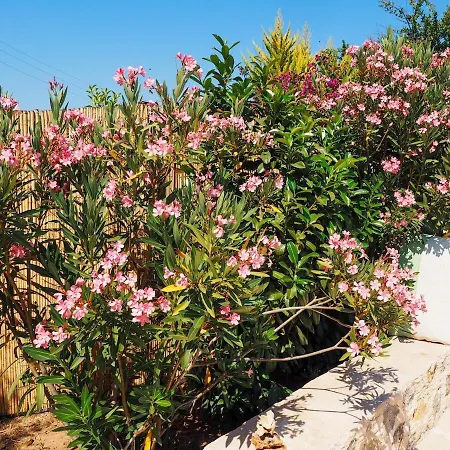 Villa Apsara - Secluded Oasis - Big Pool - Amazing Views