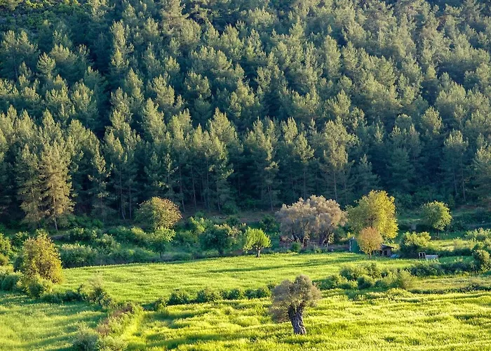 Apsara - Secluded Oasis - Big Pool - Amazing Views