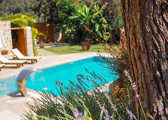 Apsara - Secluded Oasis - Big Pool - Amazing Views וילה *