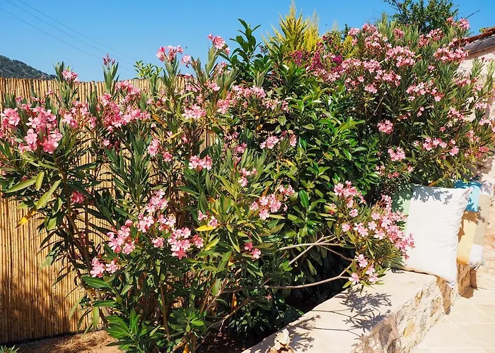 וילה Apsara - Secluded Oasis - Big Pool - Amazing Views