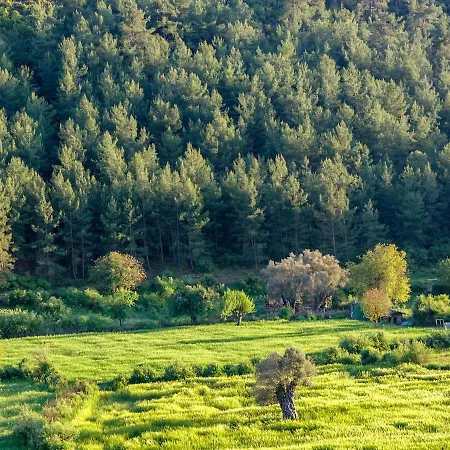 Apsara - Secluded Oasis - Big Pool - Amazing Views